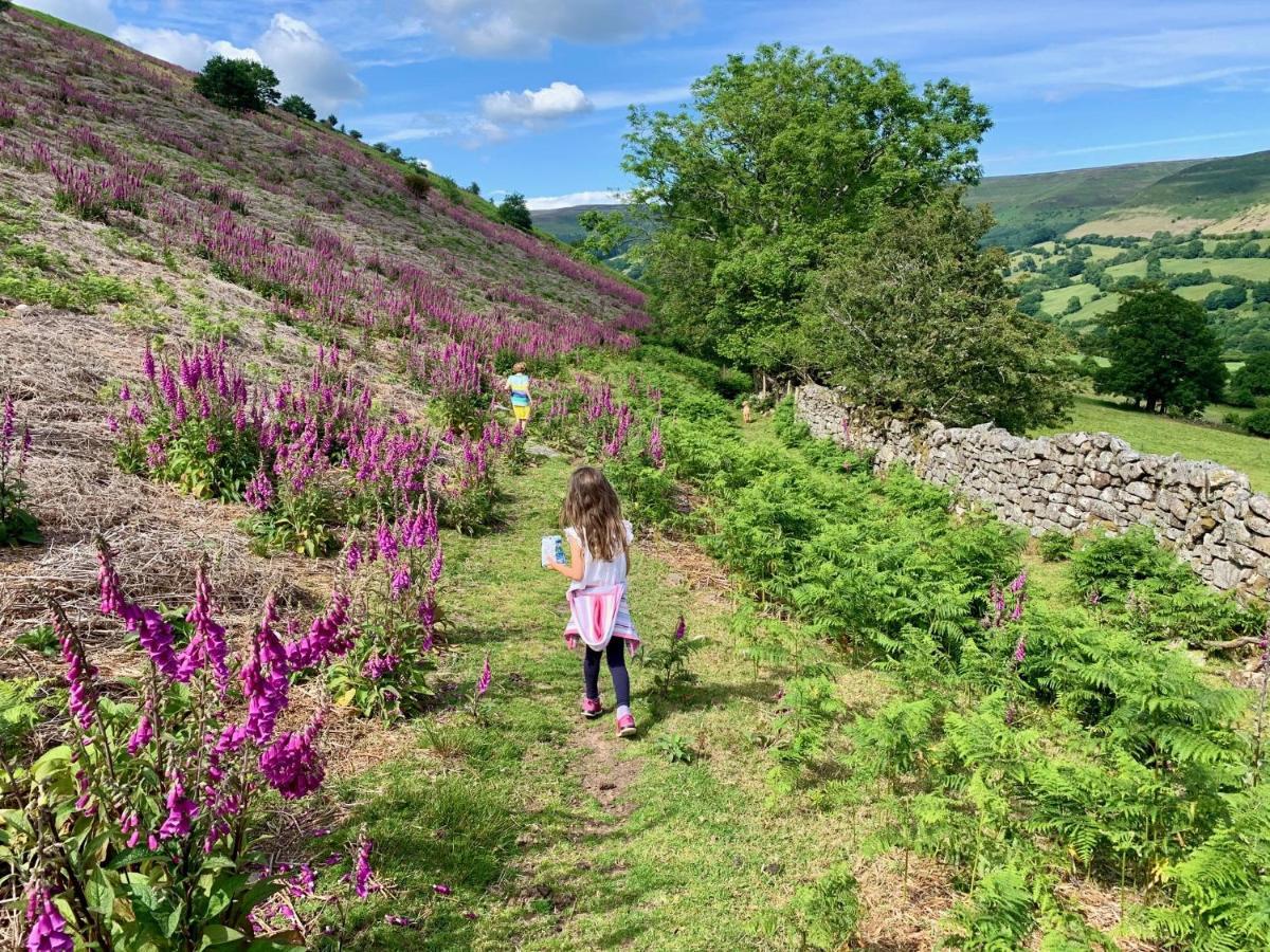 Black Mountains Stylish Hideaway, Nr Crickhowell Llanbedr  Bagian luar foto